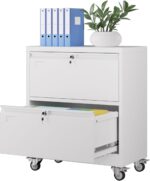 Aobabo Metal 2 Drawer Lateral File Mobile Cabinet With 2 Lock, File Cabinet With Wheels And Adjustable File Bars For Office,Home, For Letter Legal Size,White, Assembly Required