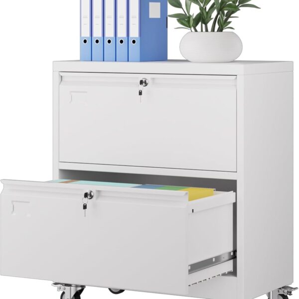 Aobabo Metal 2 Drawer Lateral File Mobile Cabinet With 2 Lock, File Cabinet With Wheels And Adjustable File Bars For Office,Home, For Letter Legal Size,White, Assembly Required