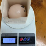 Holiday Christmas Ball Prank Decorations - Image 2