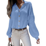 Autumn And Winter New Products V-neck Lantern Sleeve Shirt Blouse Women - Image 6